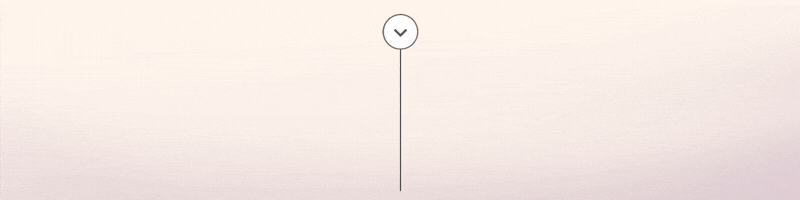 yang11.gif